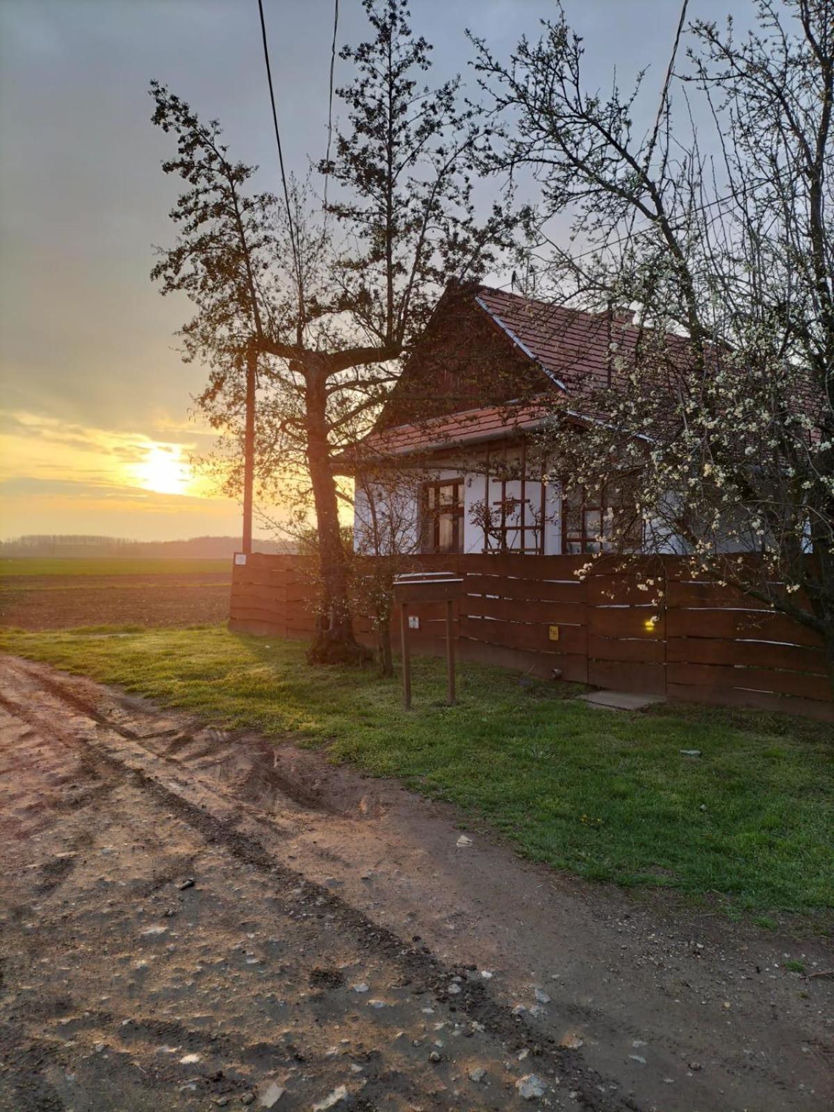 Tiszaglamping, The Belgian Hideaway Hotel Tiszacsege Kültér fotó